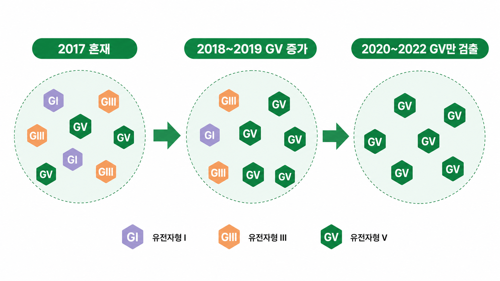 2020년 이후 양성 풀에서 유전형 V만 검출된 변화 삽화