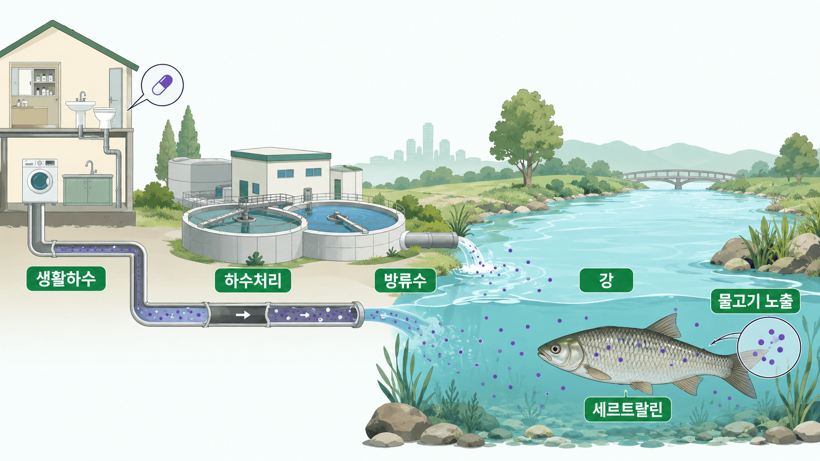 생활하수의 세르트랄린이 하수처리와 방류수를 거쳐 강의 물고기에 노출되는 경로를 나타낸 개념도