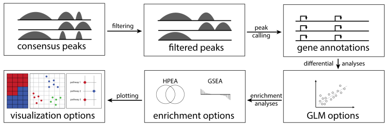 Cinar Onur Cinar Github - Premium Vintage Texture Gallery - High Resolution