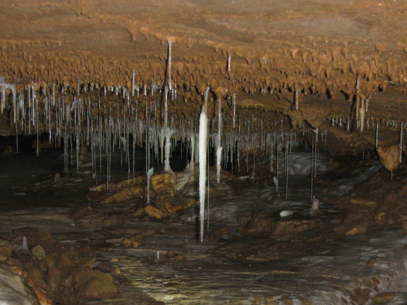 Speleothems hang from the roof of a cave in Herbstlabyrinth, Germany