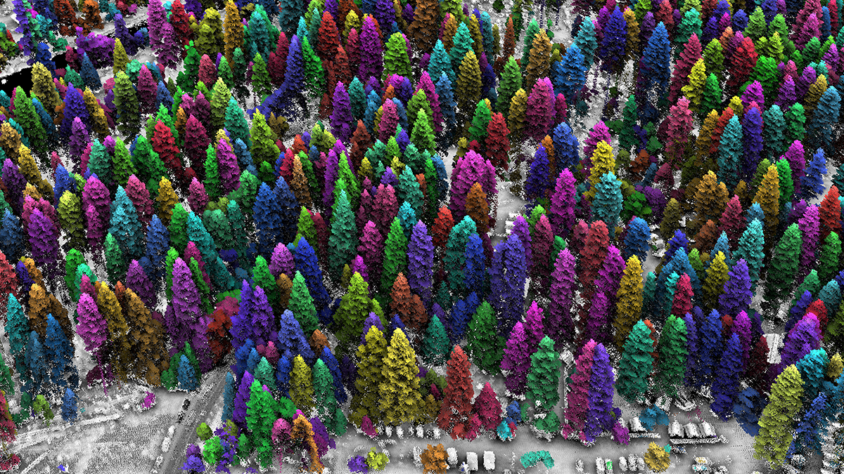 Aerial view created of a forest with lidar—with trees artificially colored in many colors—as well as buildings and open spaces in part of Yosemite National Park