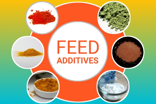 feed additives