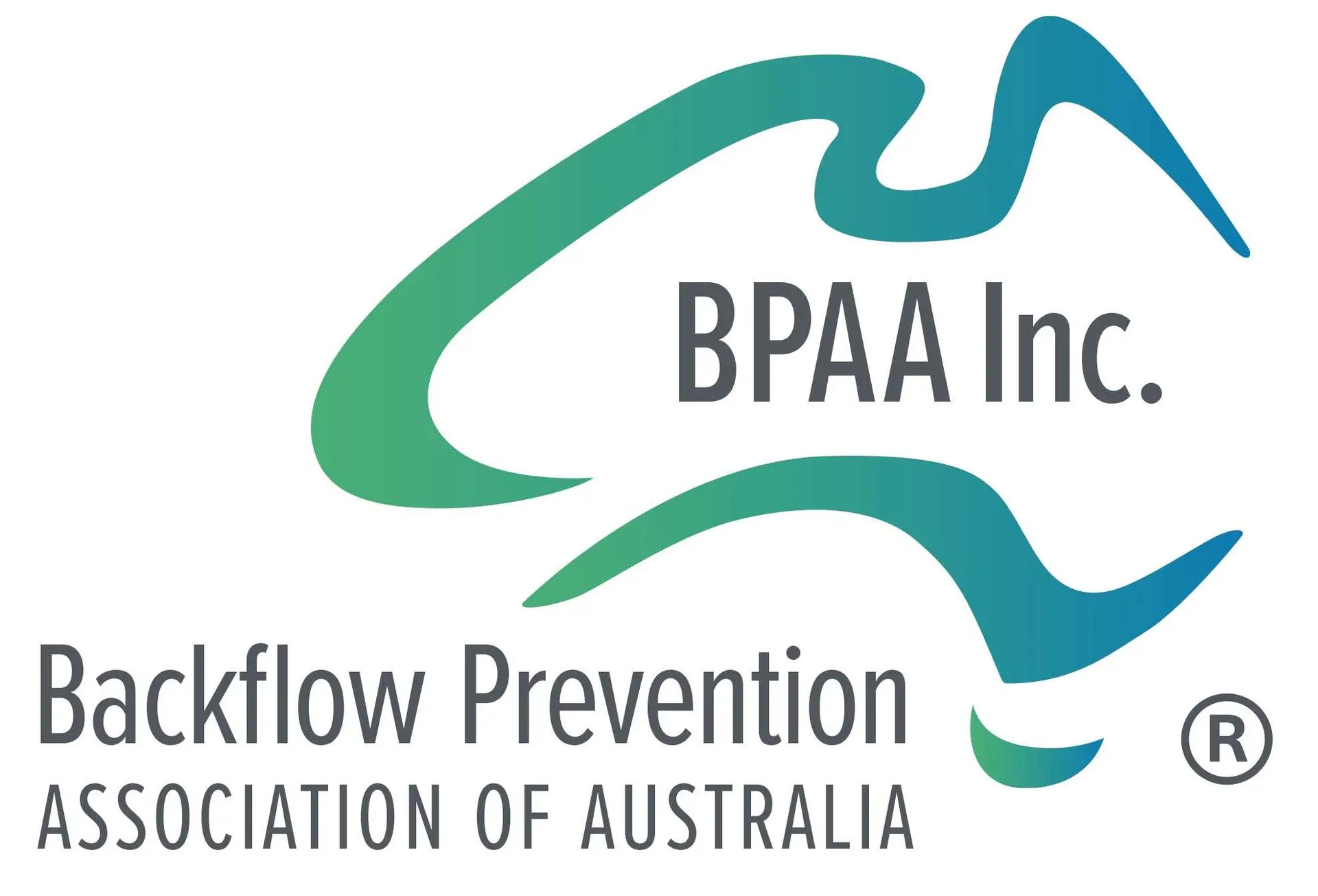 backflow testing