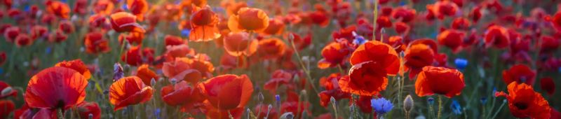 Emmett Thompson - Amazing Abstract Pattern - Retina