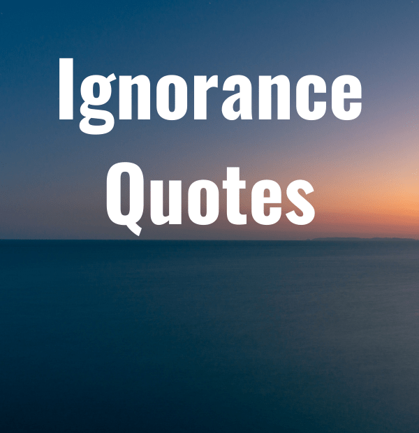 Repeat these motivational quotes from maya angelou, diane sawyer and more to stay inspired and get through anything. 40 Ignorance Quotes Epic Quotes Com