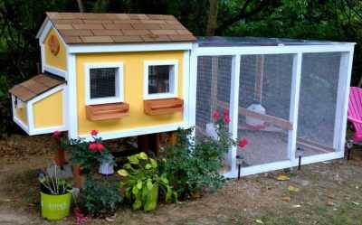 chicken coop own build plans coops housewivesofriverton story