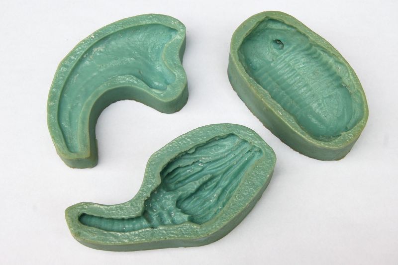 Exploring Evolution Epicofevolution - City Designs - Modern HD Collection