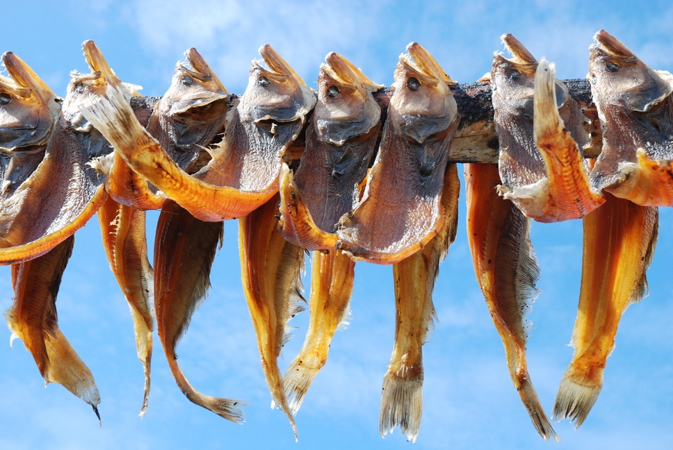 How to preserve fish using 4 simple methods - EpicPrepper