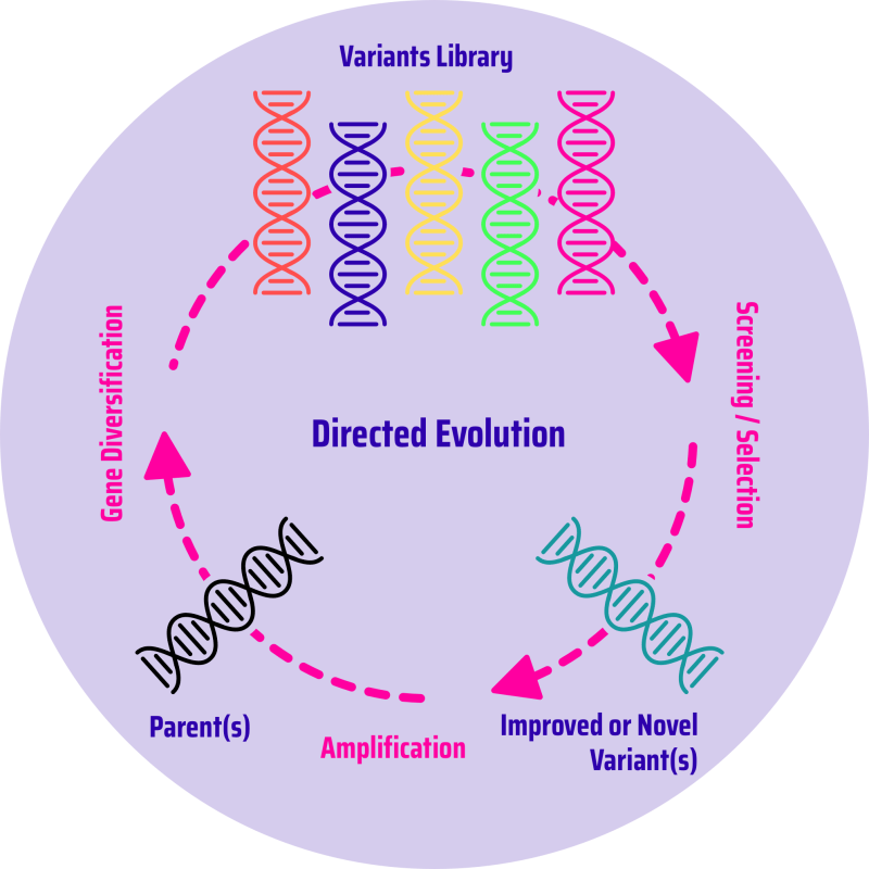 Modeling Protein Evolution - HD City Wallpapers for Desktop