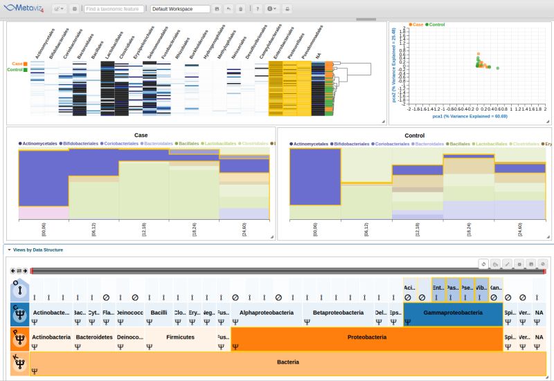 Metaviz Quick Overview - Best Geometric Pictures in Full HD