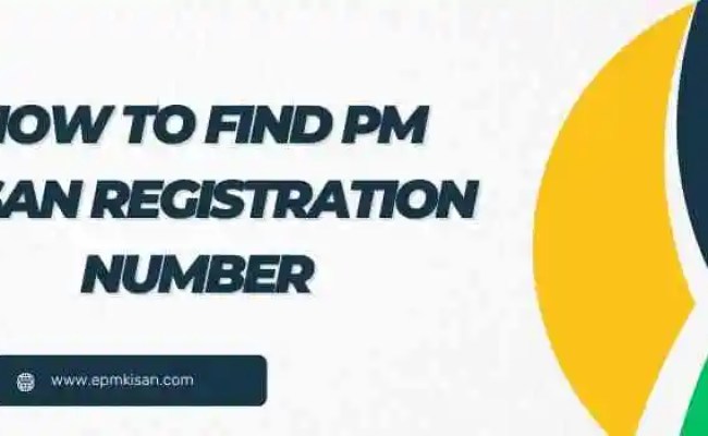 How To Get PM Kisan Registration Number? - PM Kisan