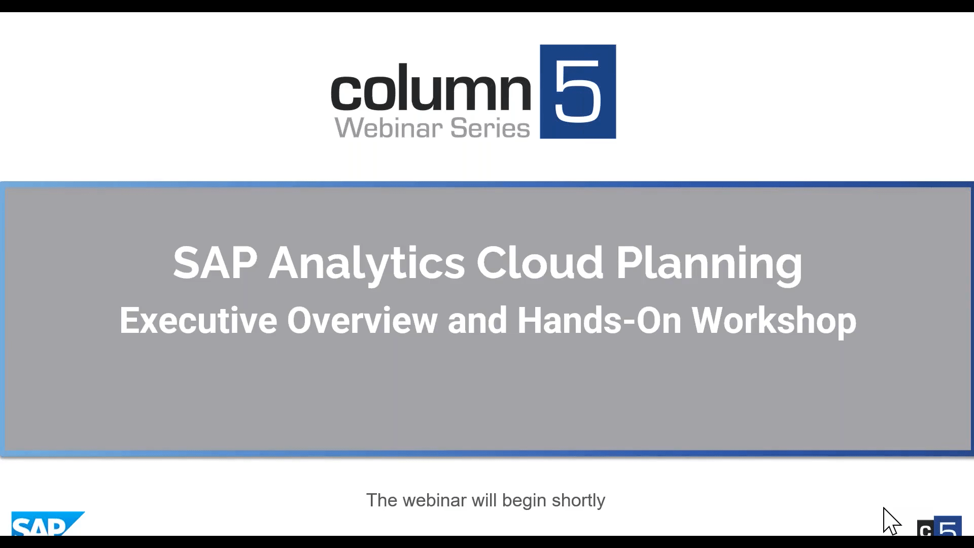 SAP Analytics Cloud (SAC) Planning - Executive Overview