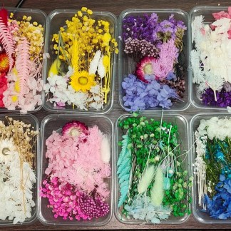 dried flower box