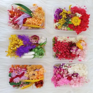 dried flower box for resin