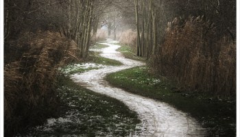 path