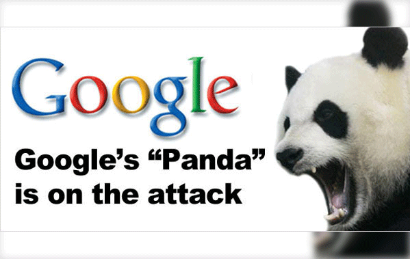 Google panda updates
