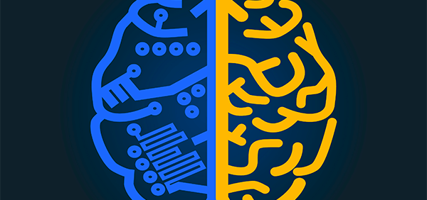 Do we know enough about our brain?