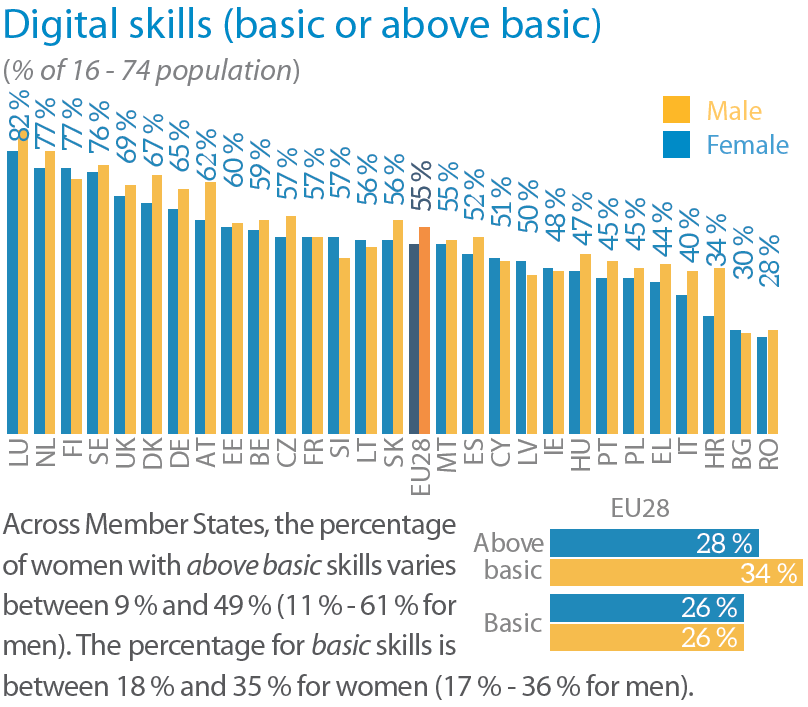 Digital skills (basic or above basic)