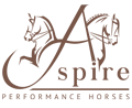 Custom Logo Design by EQ Graphics