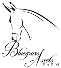 Small Dressage Mule Logo for Bluegrass Assets