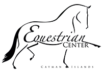 Small Logo of Horse in Extended Trot for Cayman Islands