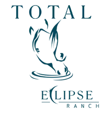 Small Logo with Two Horses in a River for Total Eclipse Ranch