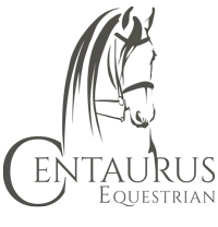 Custom Logo Design by EQ Graphics