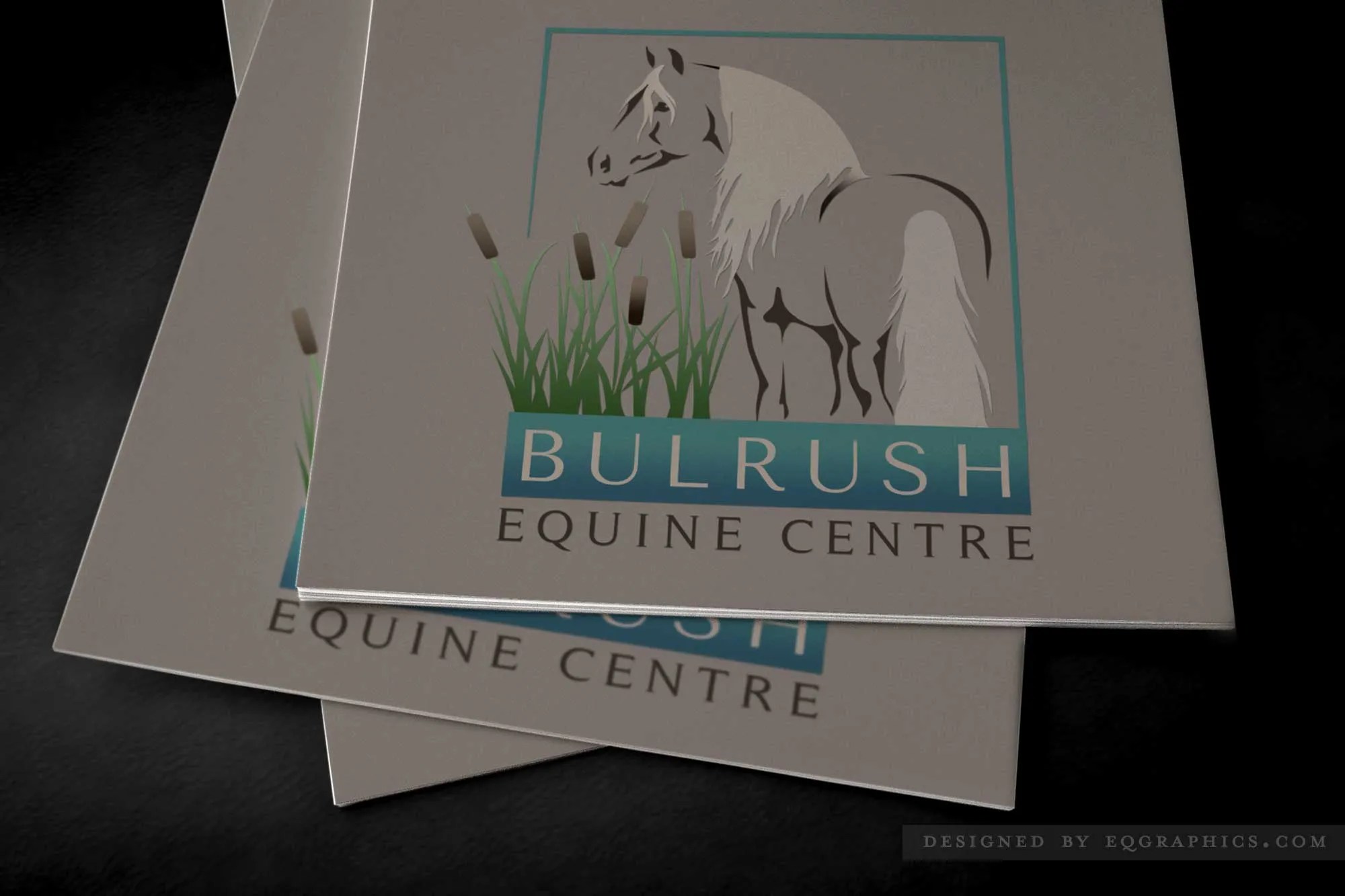 Square Shaped Morgan Horse & Cattail Logo