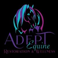 Custom Logo Design by EQ Graphics | Adept Equine EQ Graphics Logo Designer Reviews