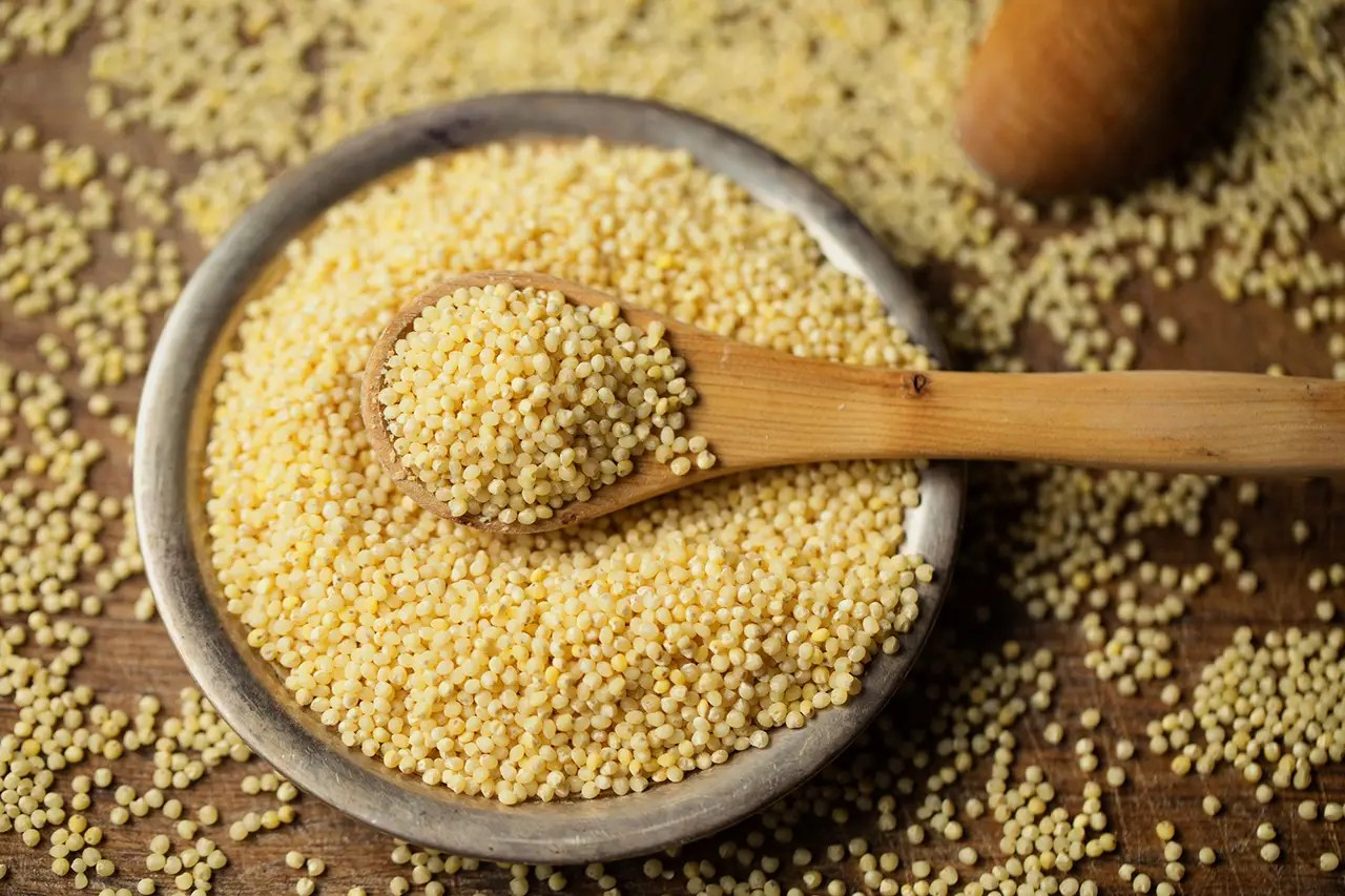 Millet, millet grain, whole grain, macrobiotic staple, gluten-free grain, plant-based nutrition, ancient cereal, alkaline grain, heart healthy grain, fiber rich food, vegan ingredient, nutritious millet, source of magnesium, healthy carbohydrate, balanced diet, protein rich grain