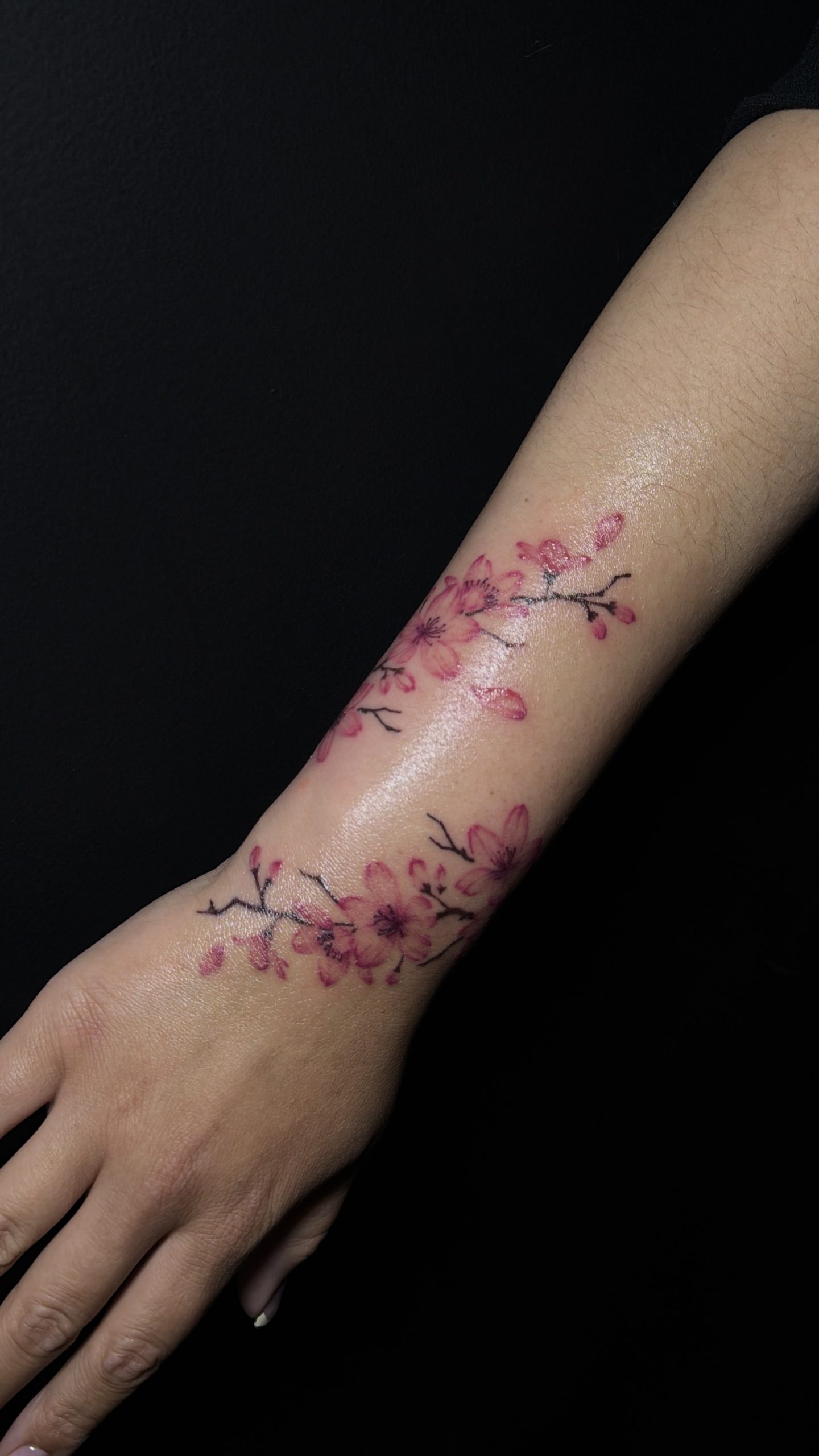 Cherry blossoms tattoo in color on forearm into hand by Janell at EQ Tattoo in West Deptford, NJ