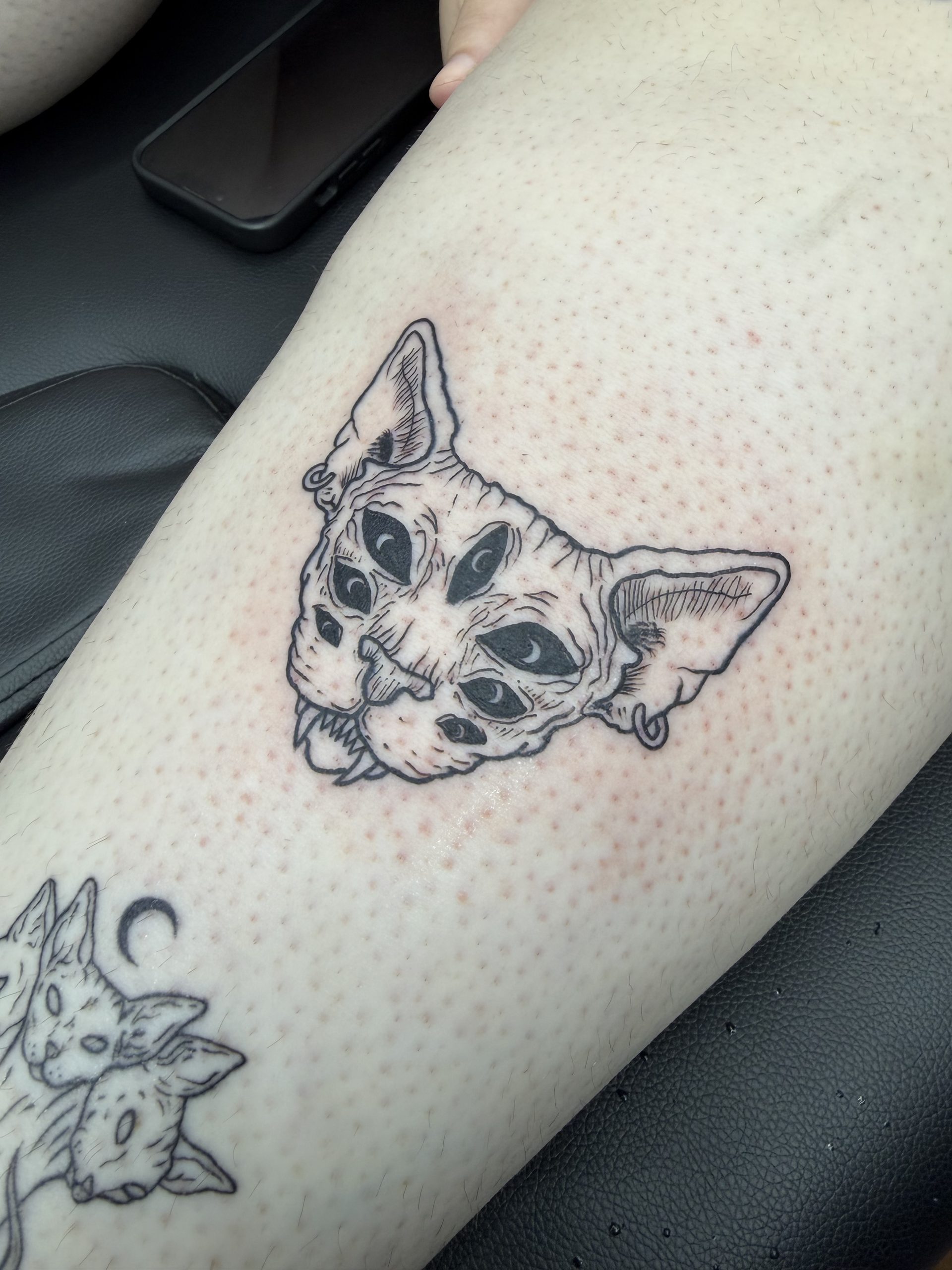 Seven eye cat tattoo by Janell at EQ Tattoo and body piercing in West Deptford South Jersey