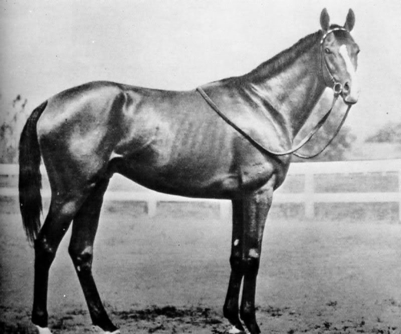 A look back at Triple Crown winners Part 1 EQUINE Ink
