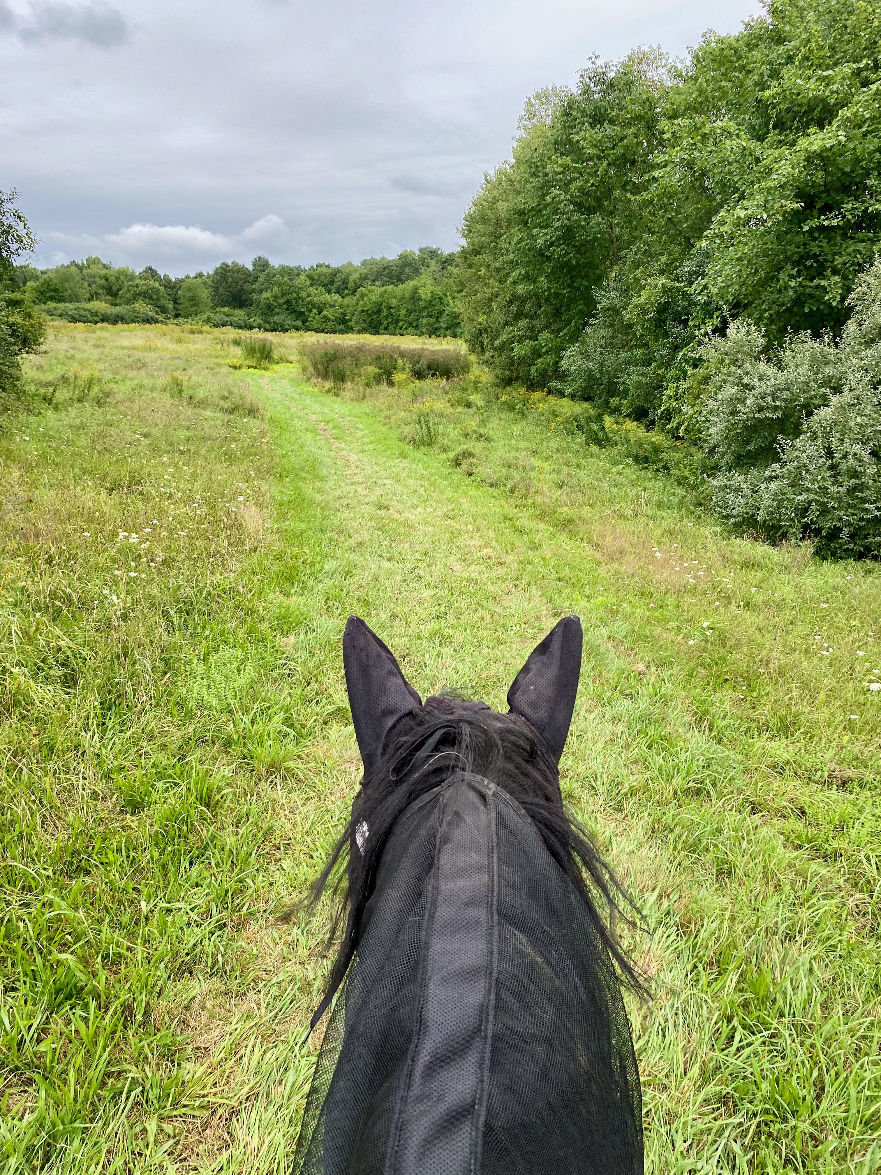 A ride by the charles