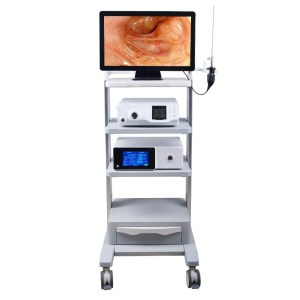 Veterinary HD Rigid Endoscopy System RS serie