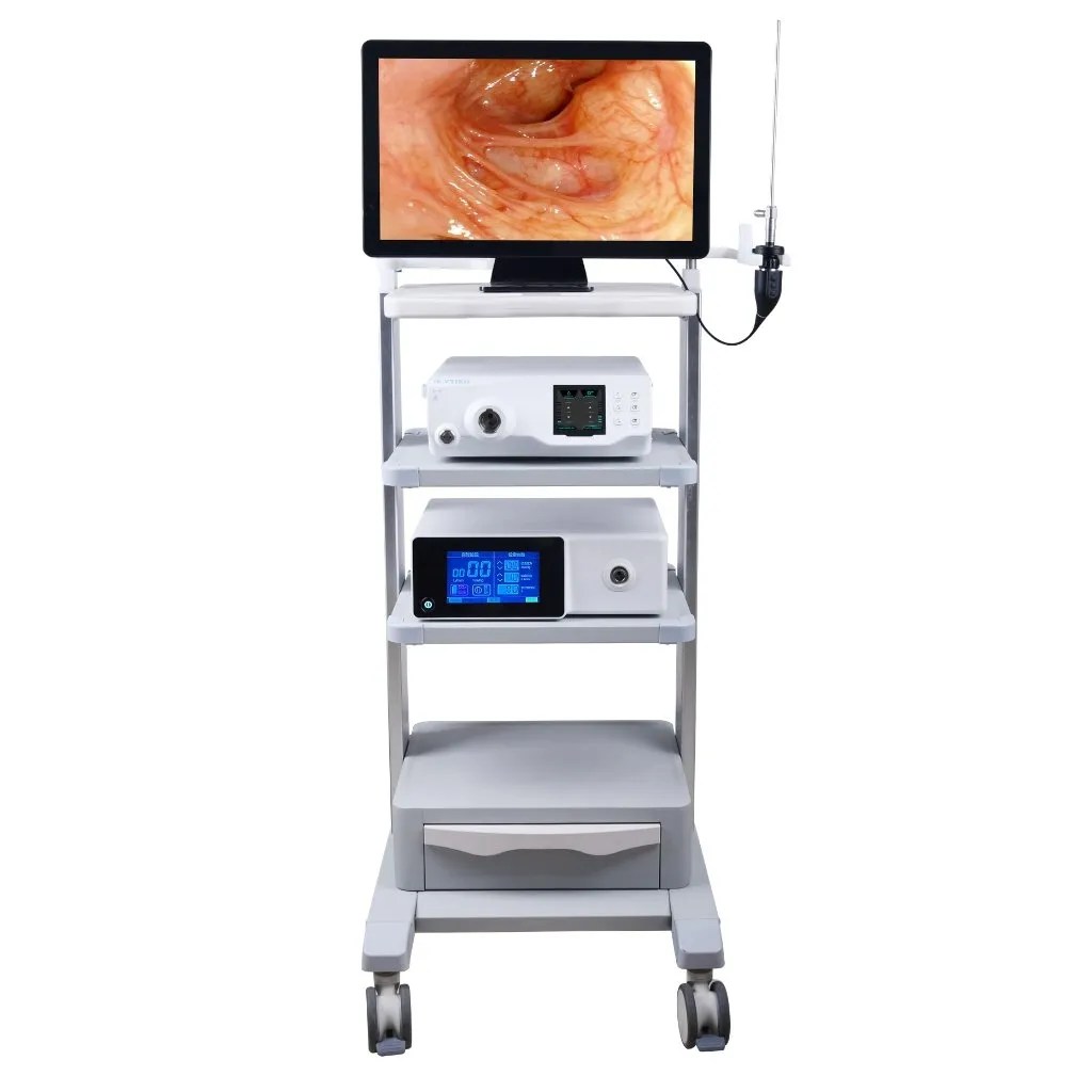 Veterinary HD Rigid Endoscopy System RS serie