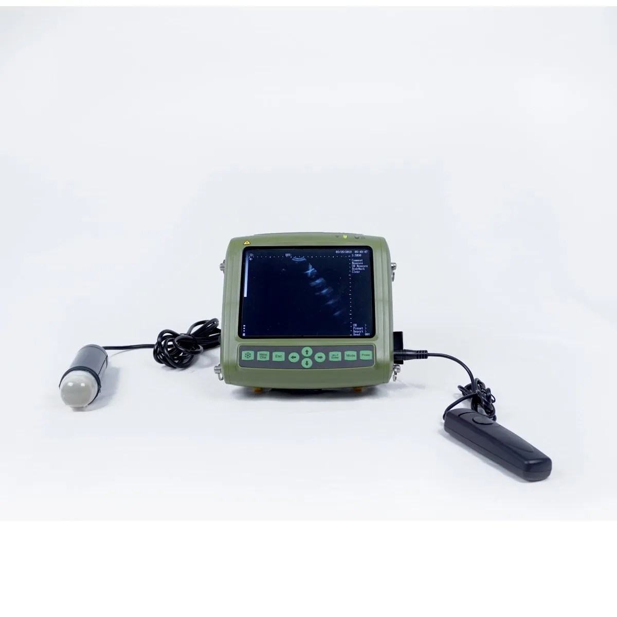 Mechanical probe veterinary ultrasound scanner