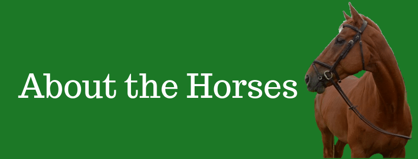 About the horses