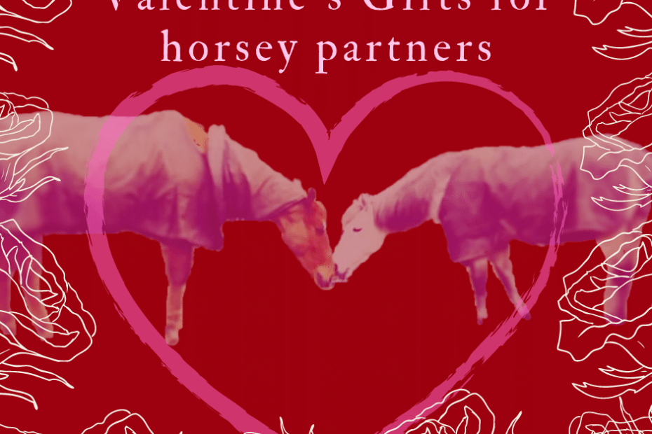valentines gifts for horsey parnters