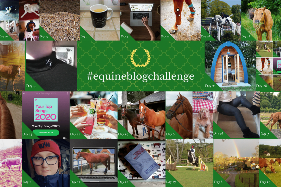 #equineblogchallenge