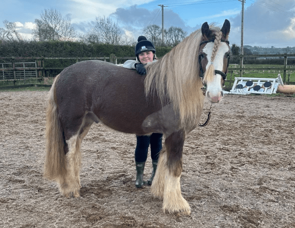 Rediscovering the girl who loved horses: the pony that brought me home
