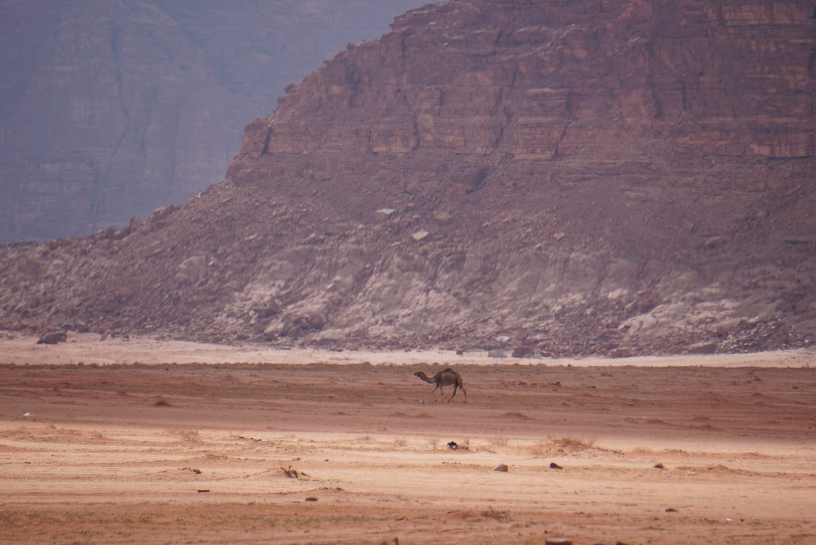 Wadi Rum – en oplevelse ude i ørkenen