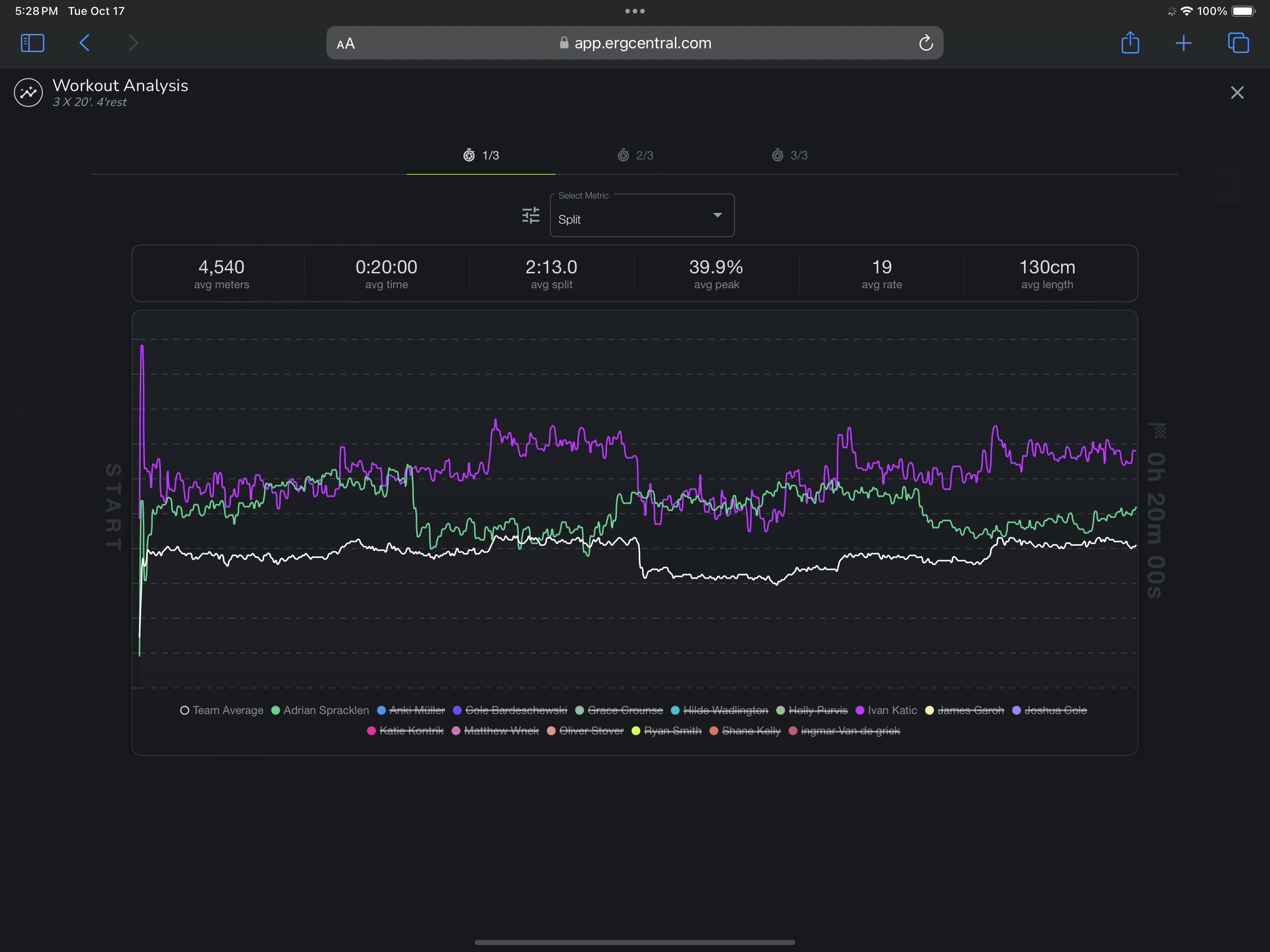 ergcentral-stroke-by-stroke