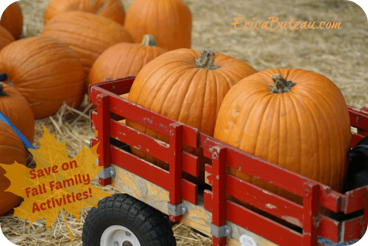 pumpkin patch small