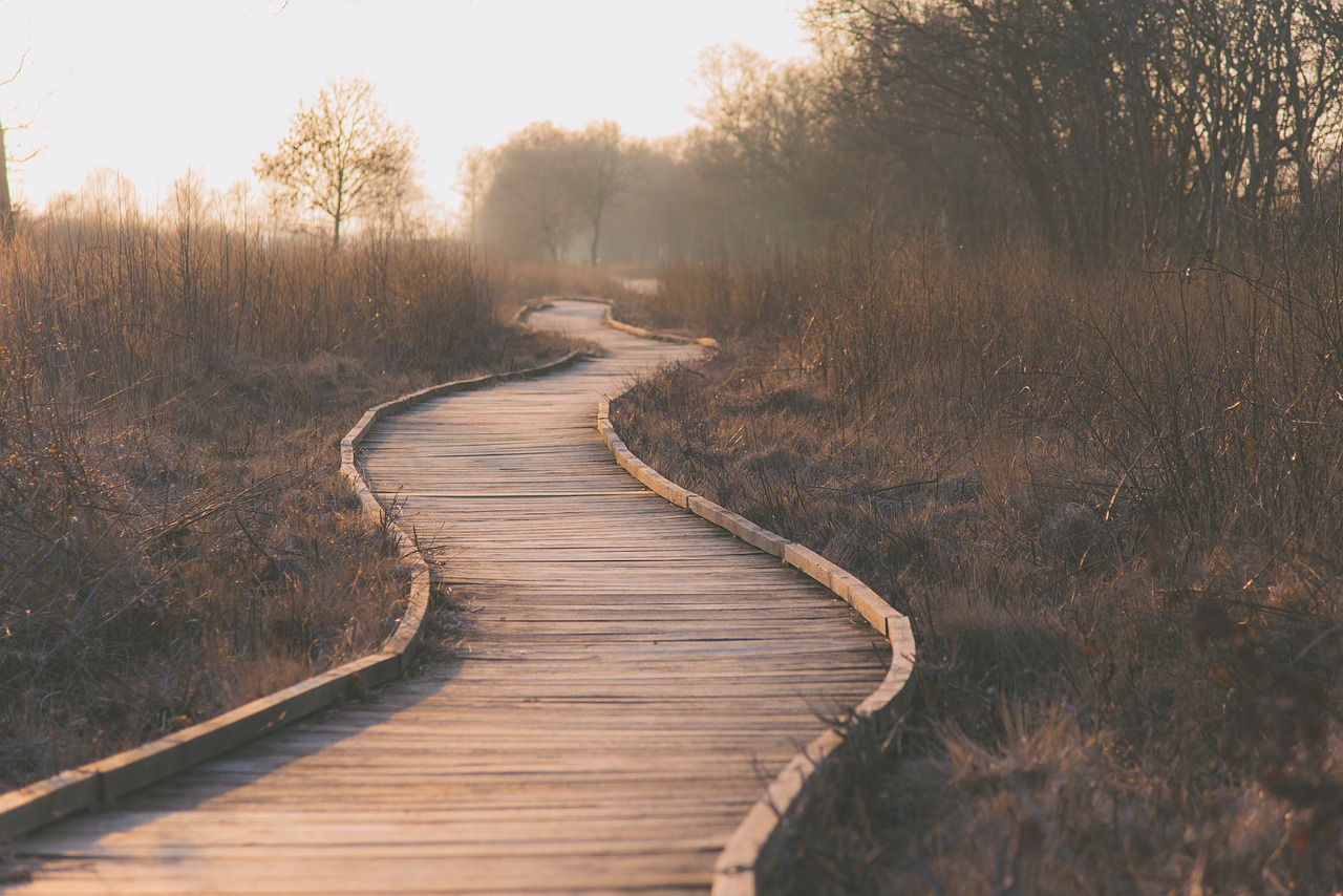 Success Paths