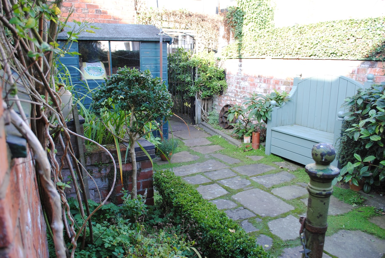 How to Design a Landscape for Less Water Use
