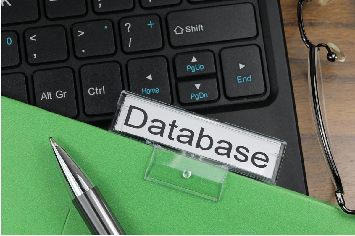 Database