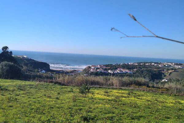 Amazing View