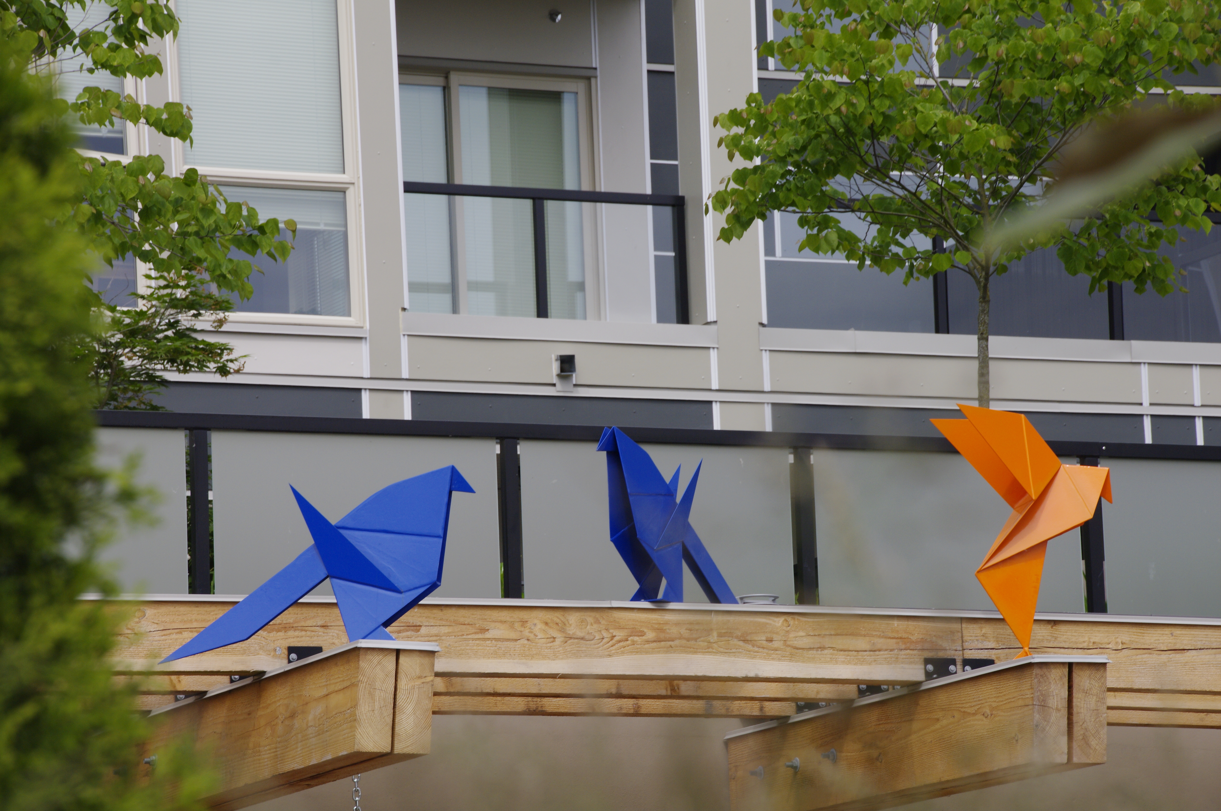 Rookeryand Roost - song birds