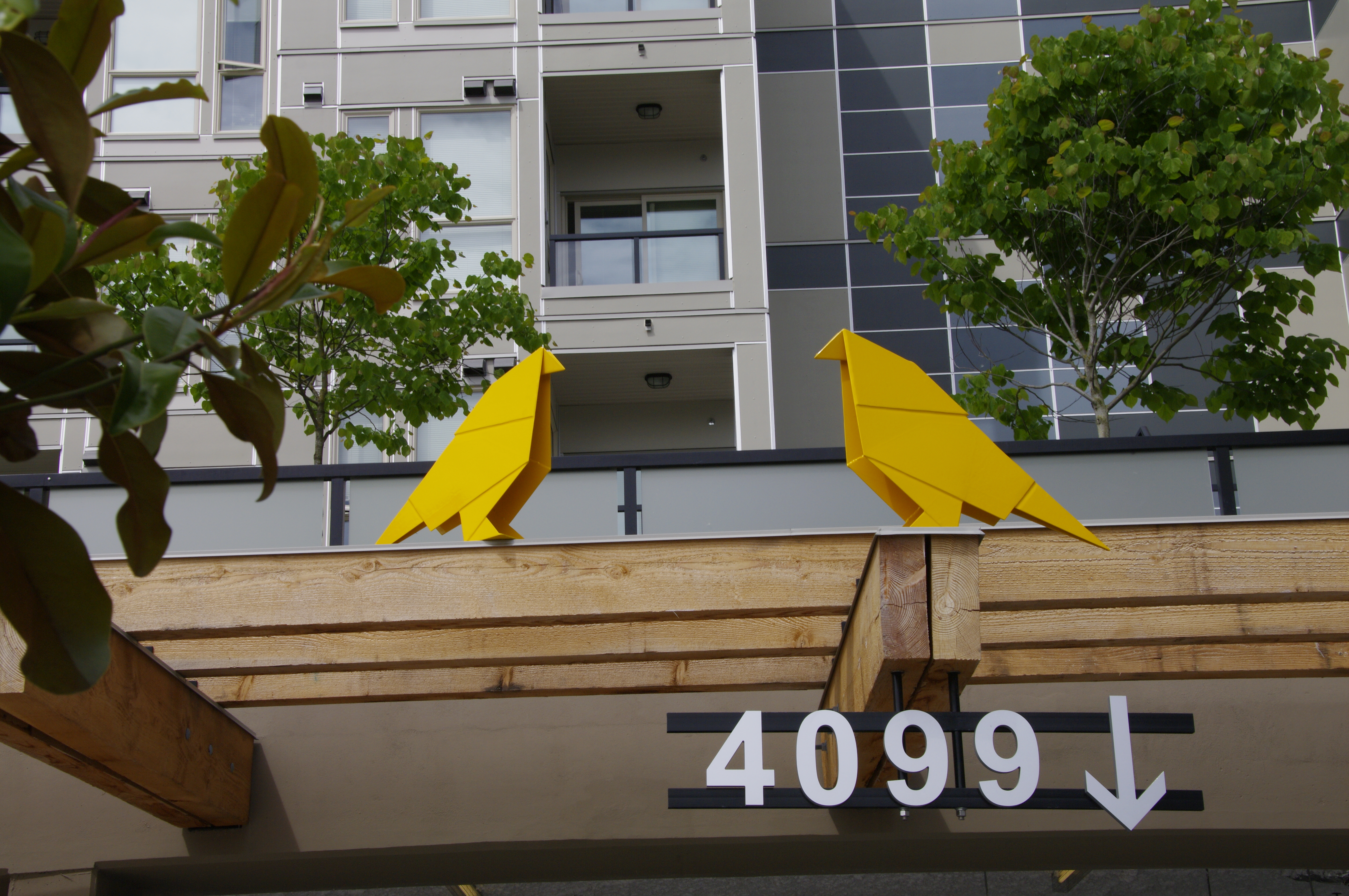 Rookery and Roost - song birds